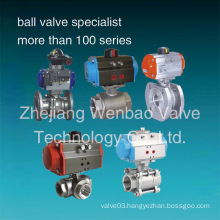 Stainless Steel Pneumatic Ball Valve Pneumatic Actuator Ball Valve CF8m 1000 Wog